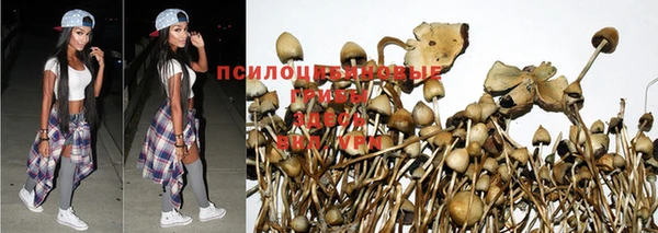 круглые Алексеевка