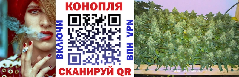 Канабис индика  Купить закладки  Харовск 